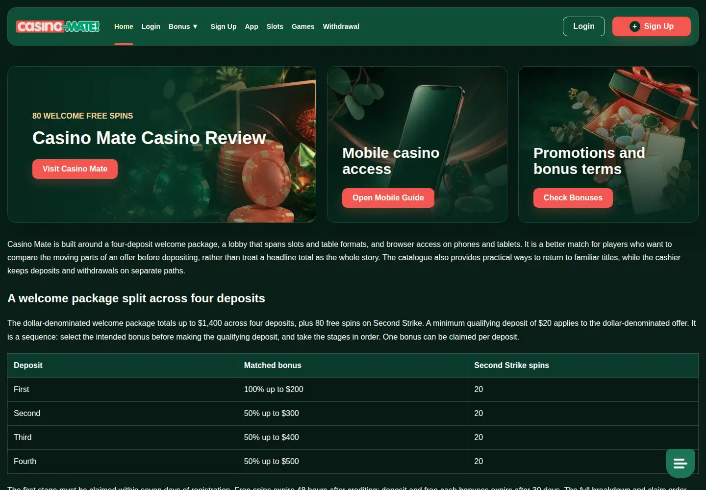 Captured homepage of sticksnstones.co.nz in the current scan