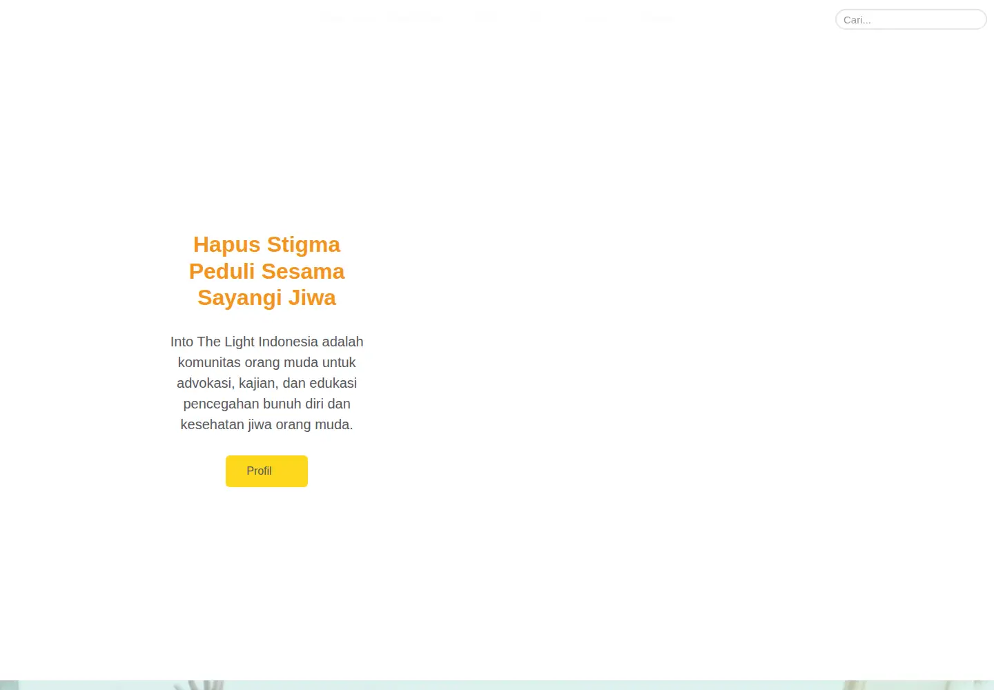Captured homepage of intothelightid.org in the current scan