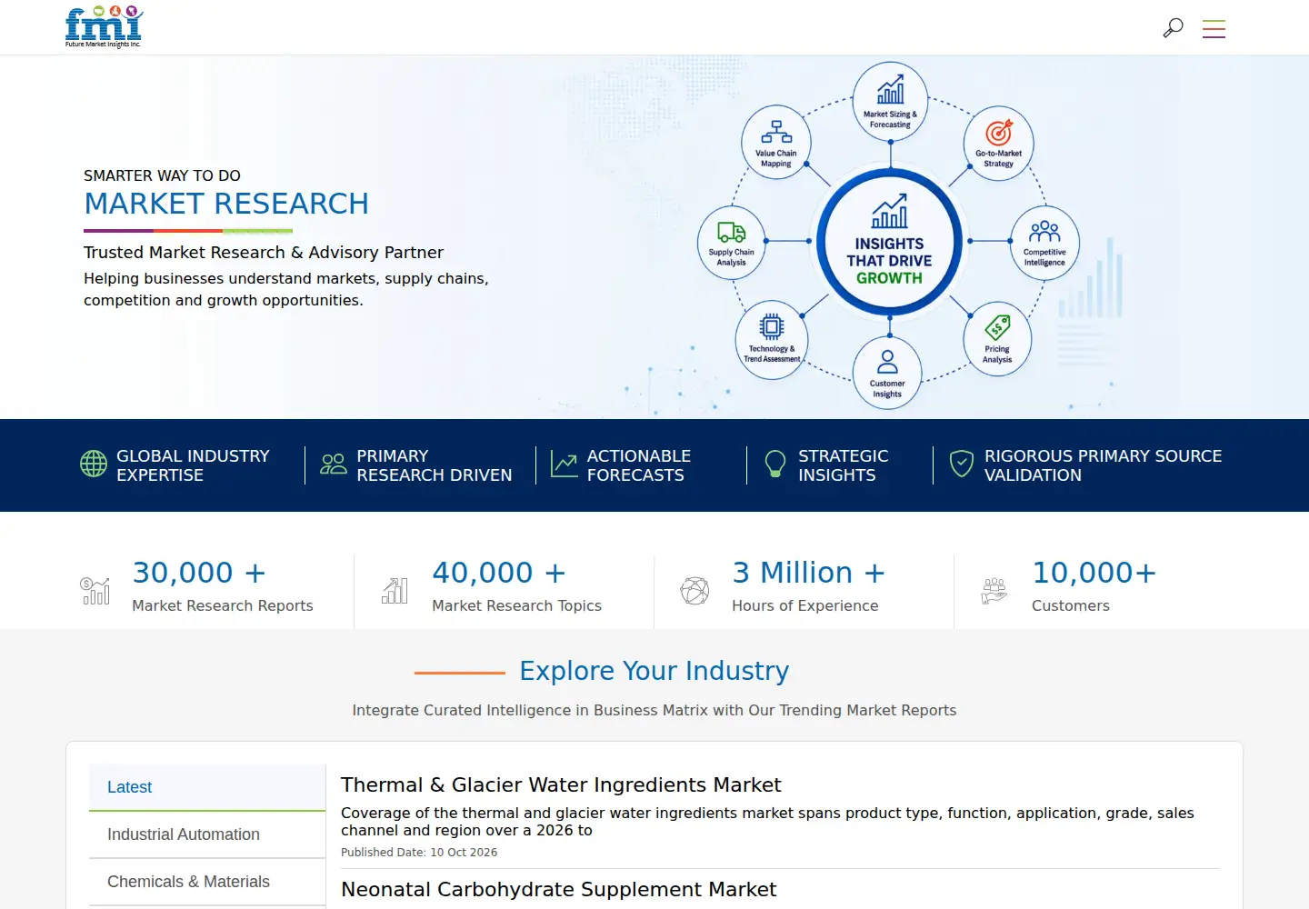 Screenshot of futuremarketinsights.com