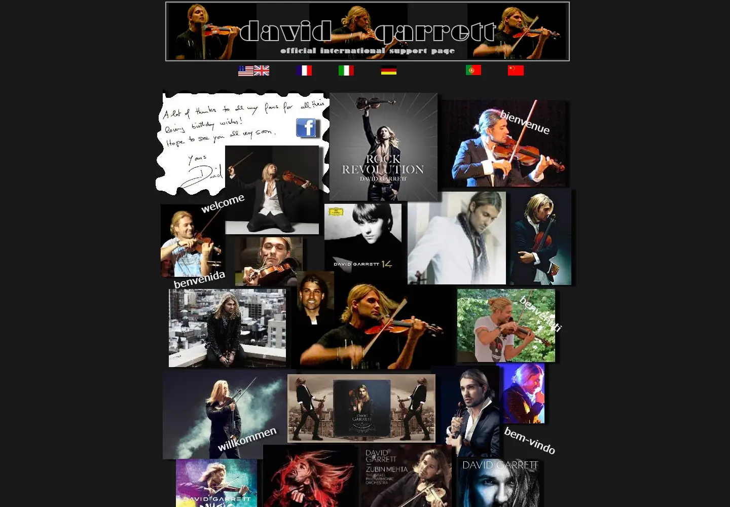 Captured homepage of david-garrett-fans.com in the current scan