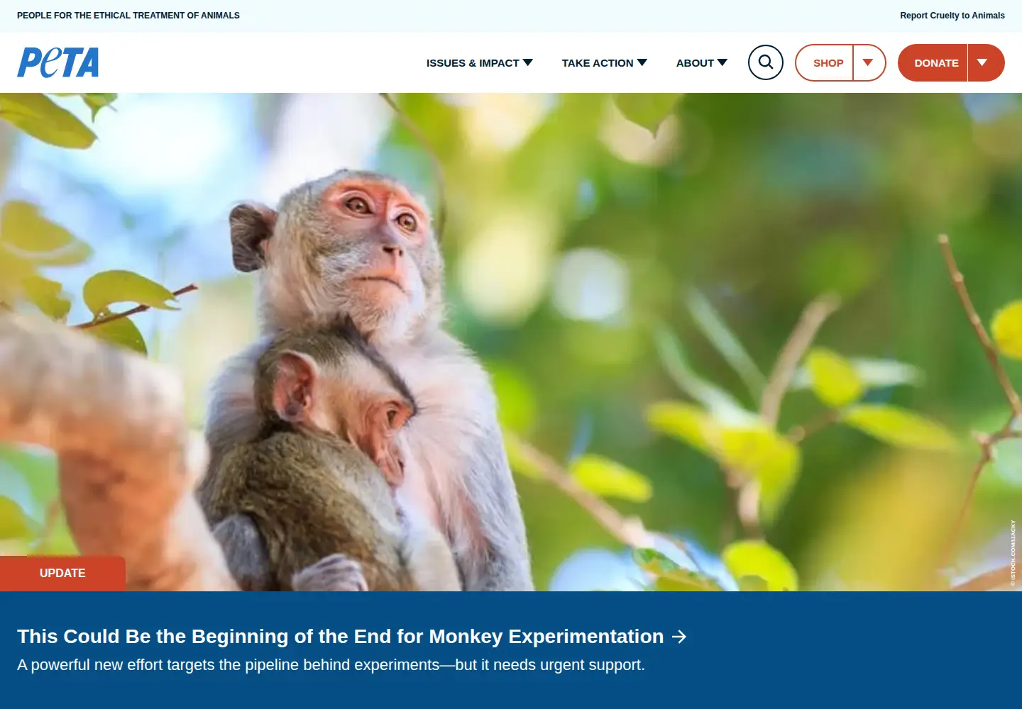 Captured homepage of peta.org in the current scan