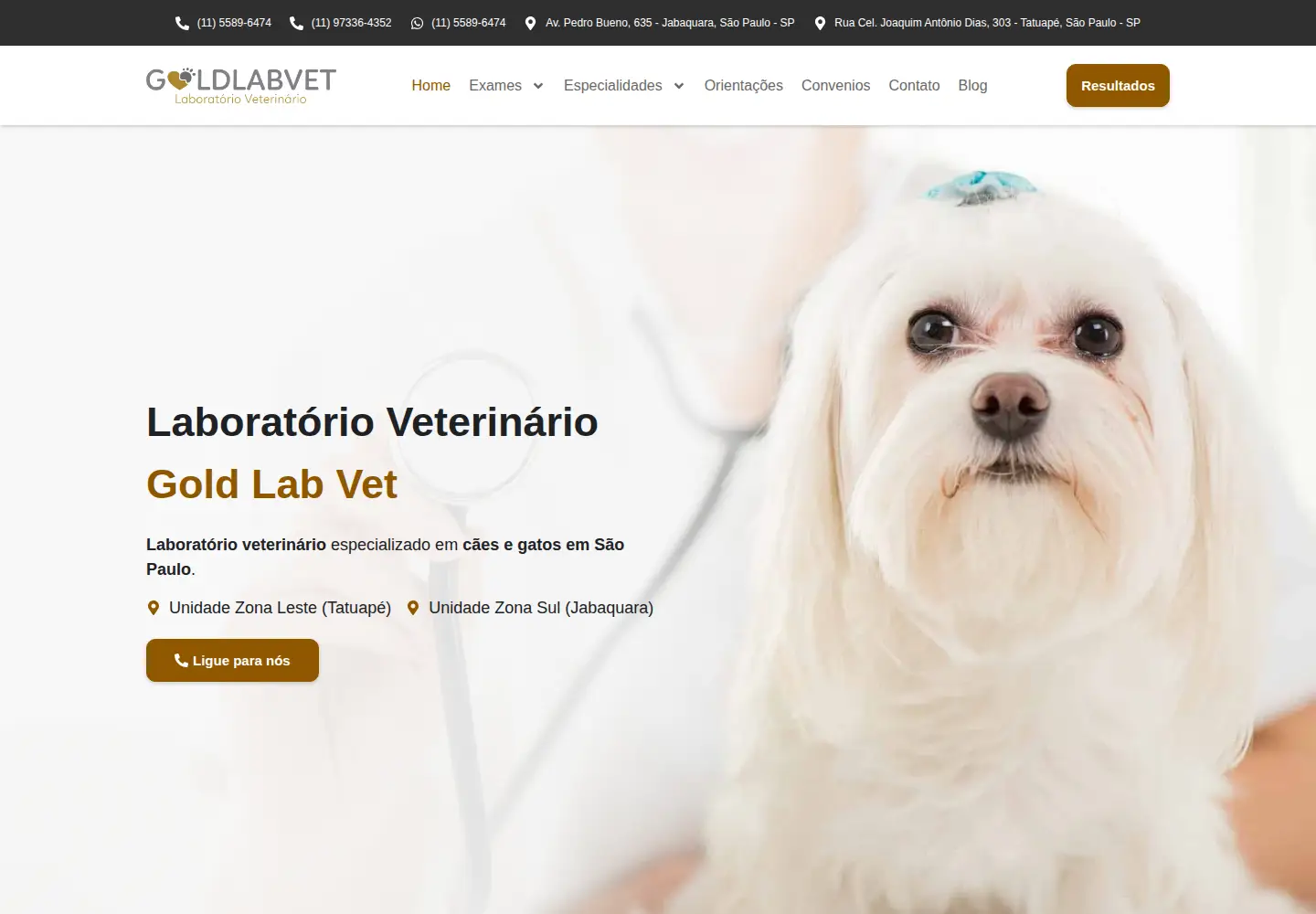 Captured homepage of goldlabvet.com in the current scan