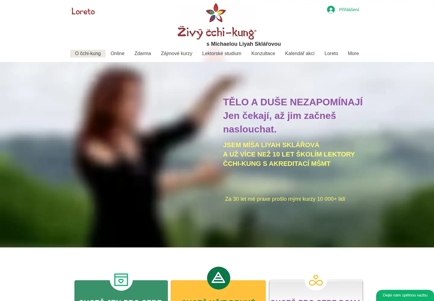 Screenshot of zivycchikung.com