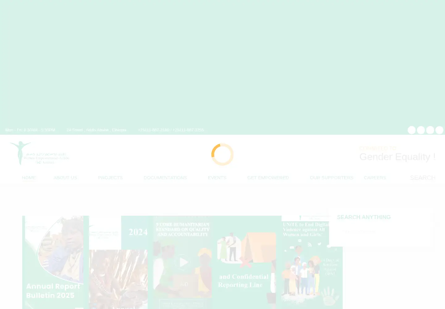 Screenshot of we-actionethiopia.org