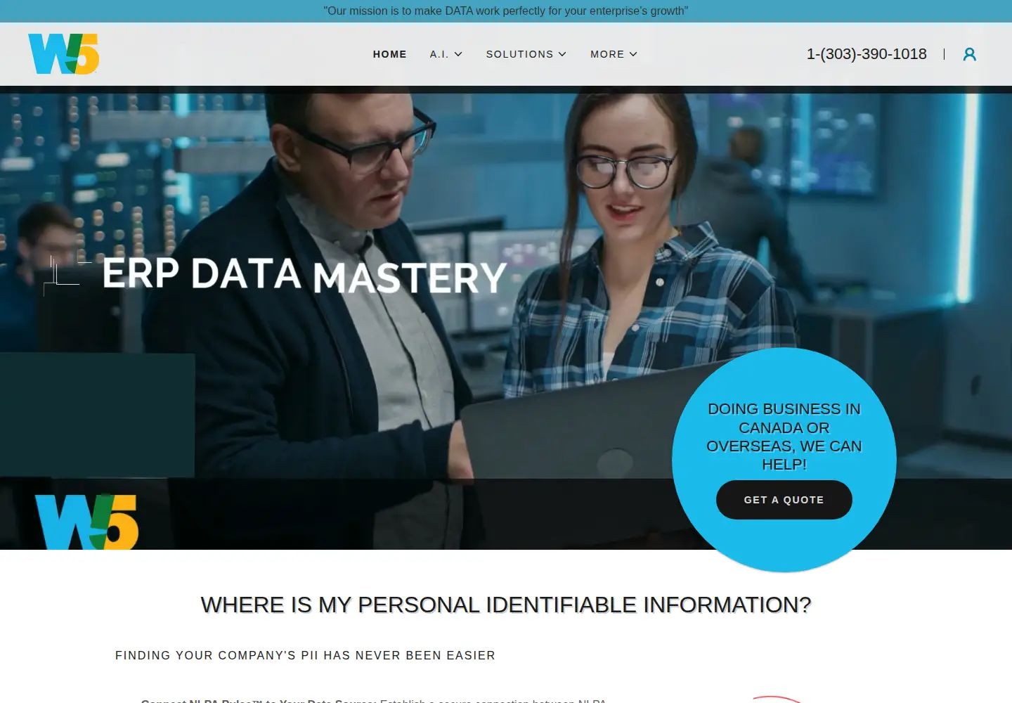 Screenshot of w5consulting.com