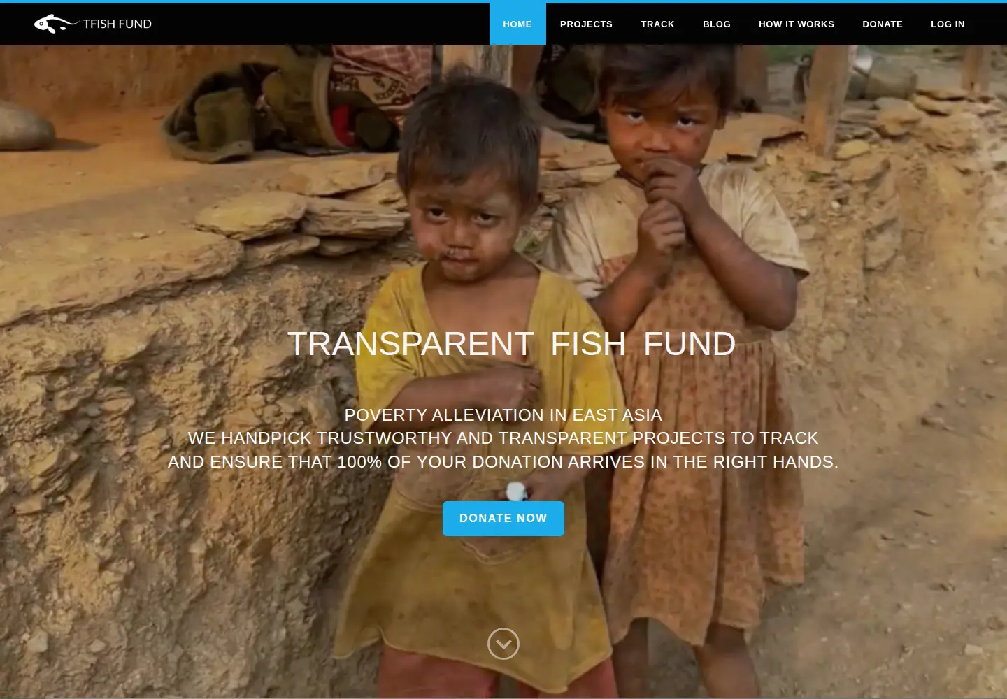 Screenshot of tfishfund.org