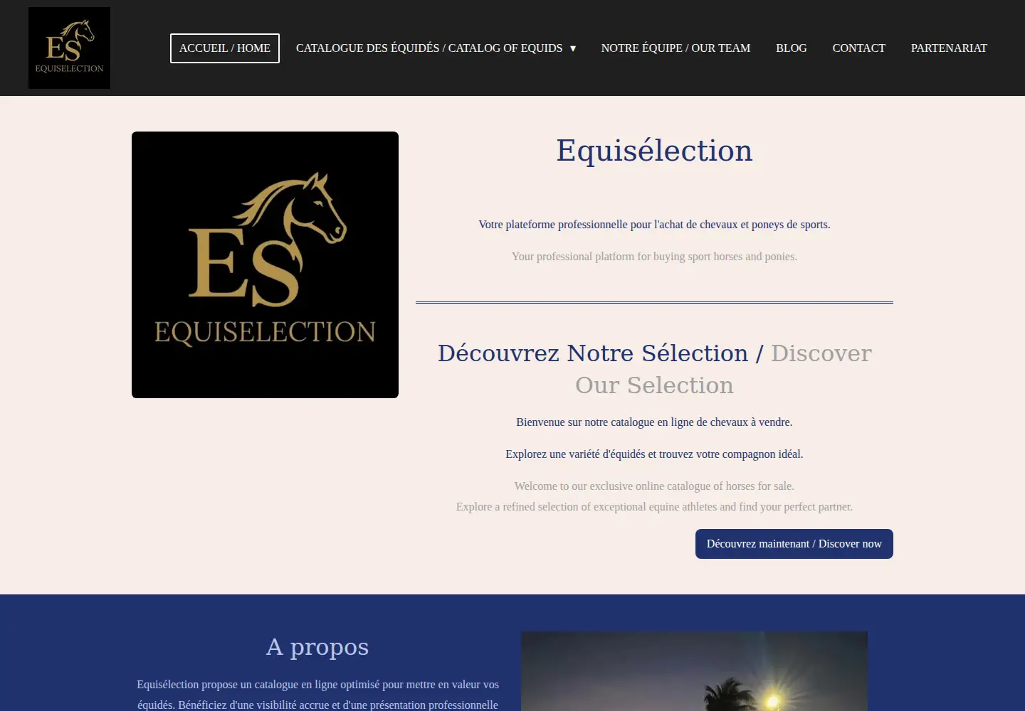 Screenshot of equiselection.fr