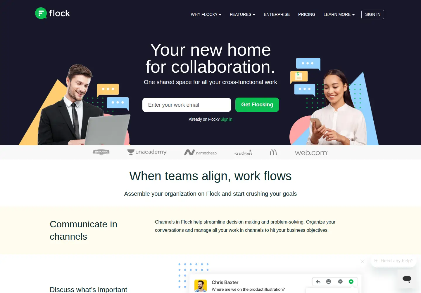Captured homepage of flock.com in the current scan
