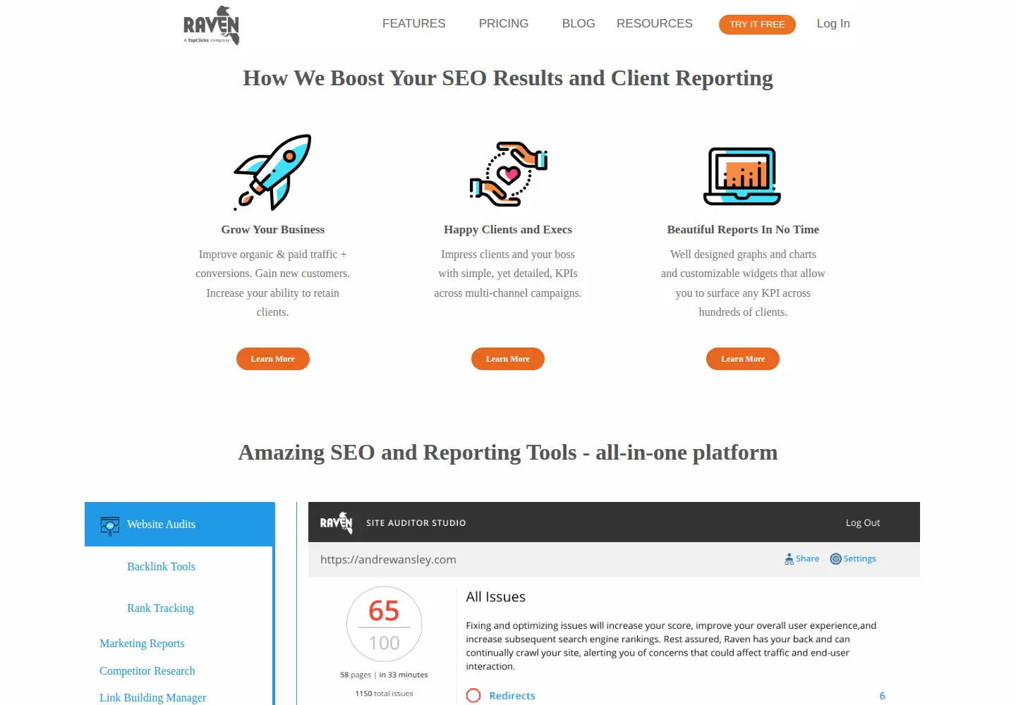 Screenshot of raventools.com