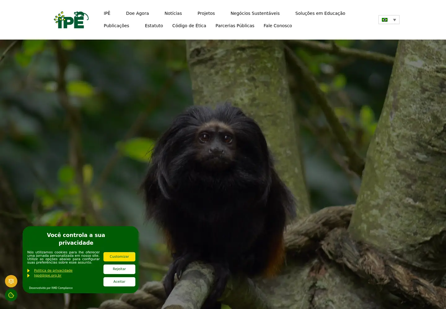 Screenshot of ipe.org.br