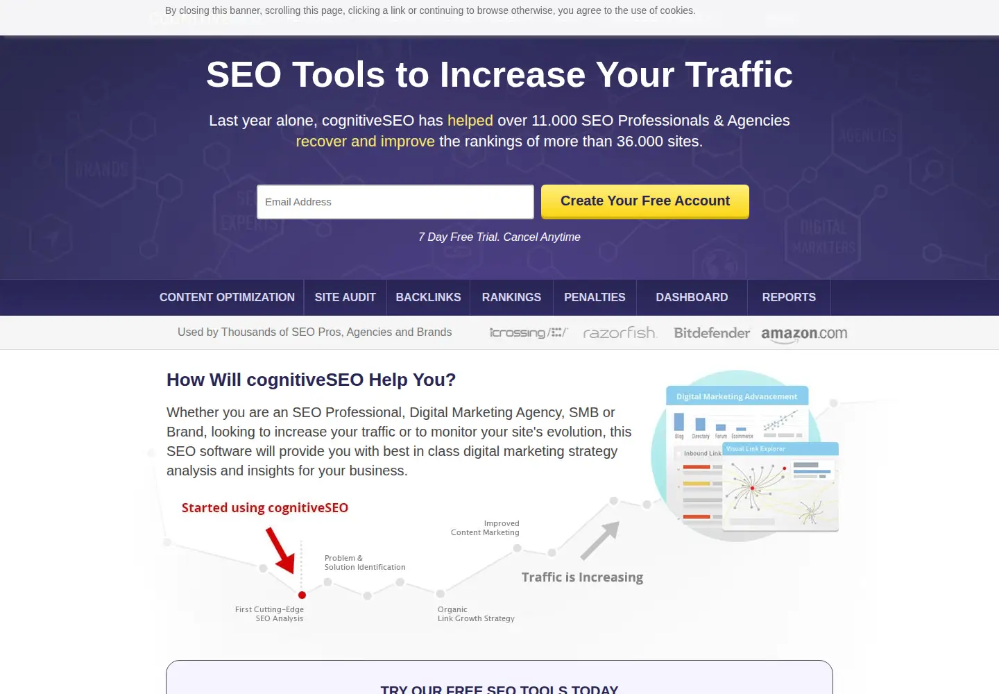 Captured homepage of cognitiveseo.com in the current scan