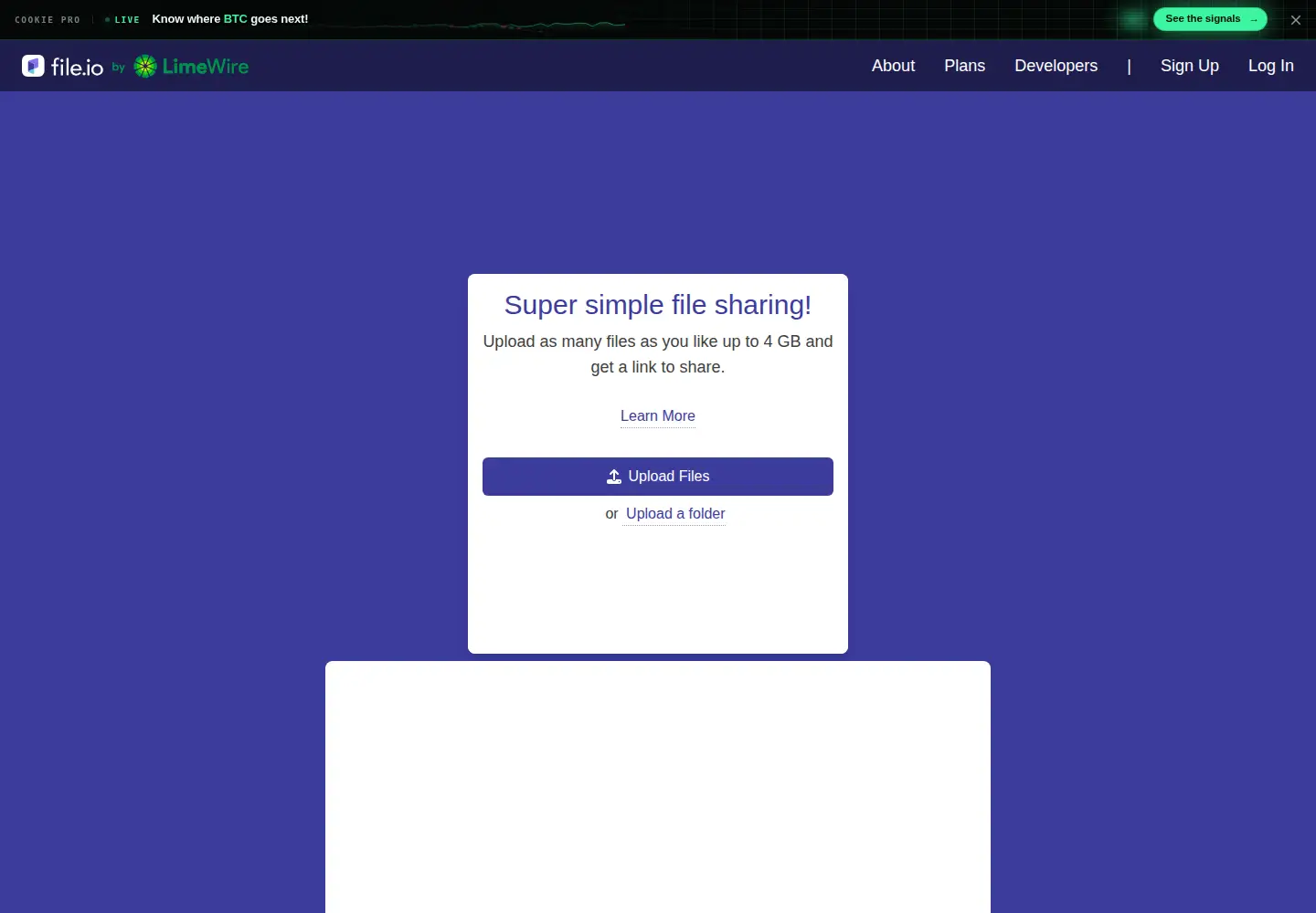 Screenshot of file.io
