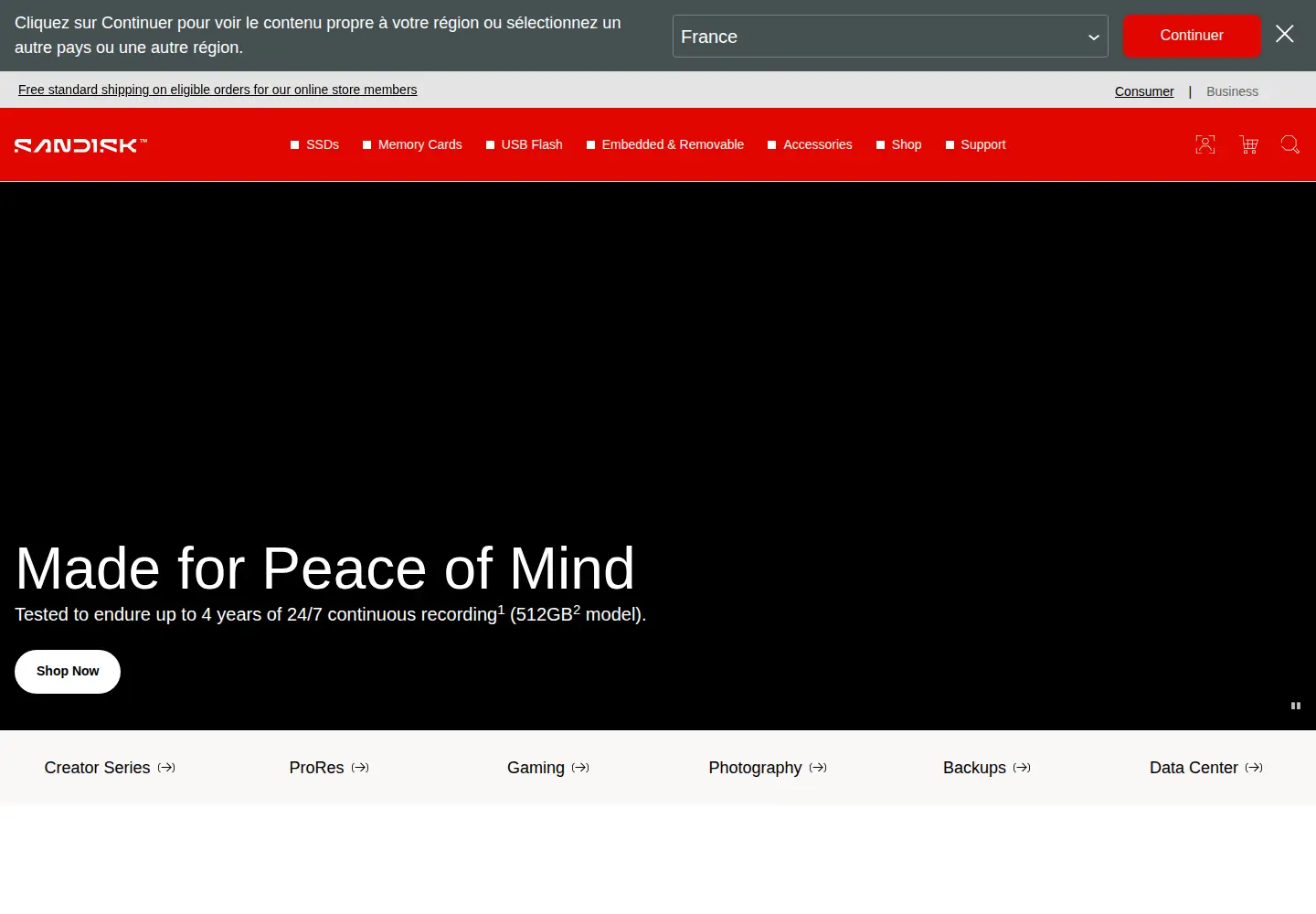 Screenshot of sandisk.com