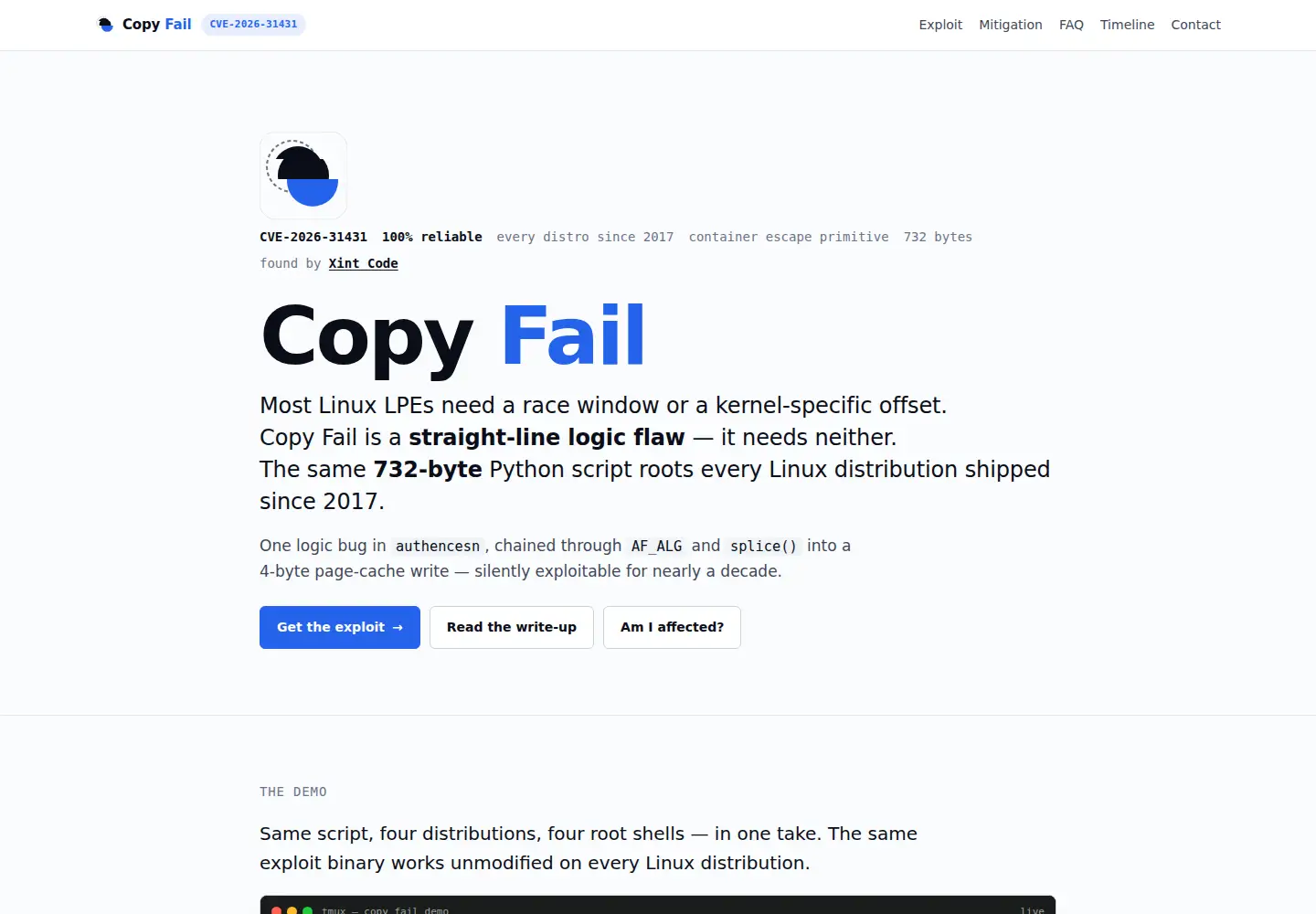 Captured homepage of copy.fail in the current scan