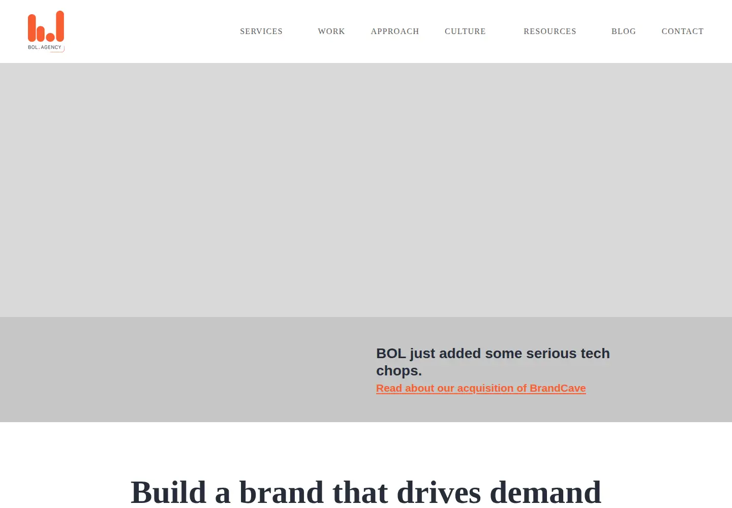 Captured homepage of businessol.com in the current scan