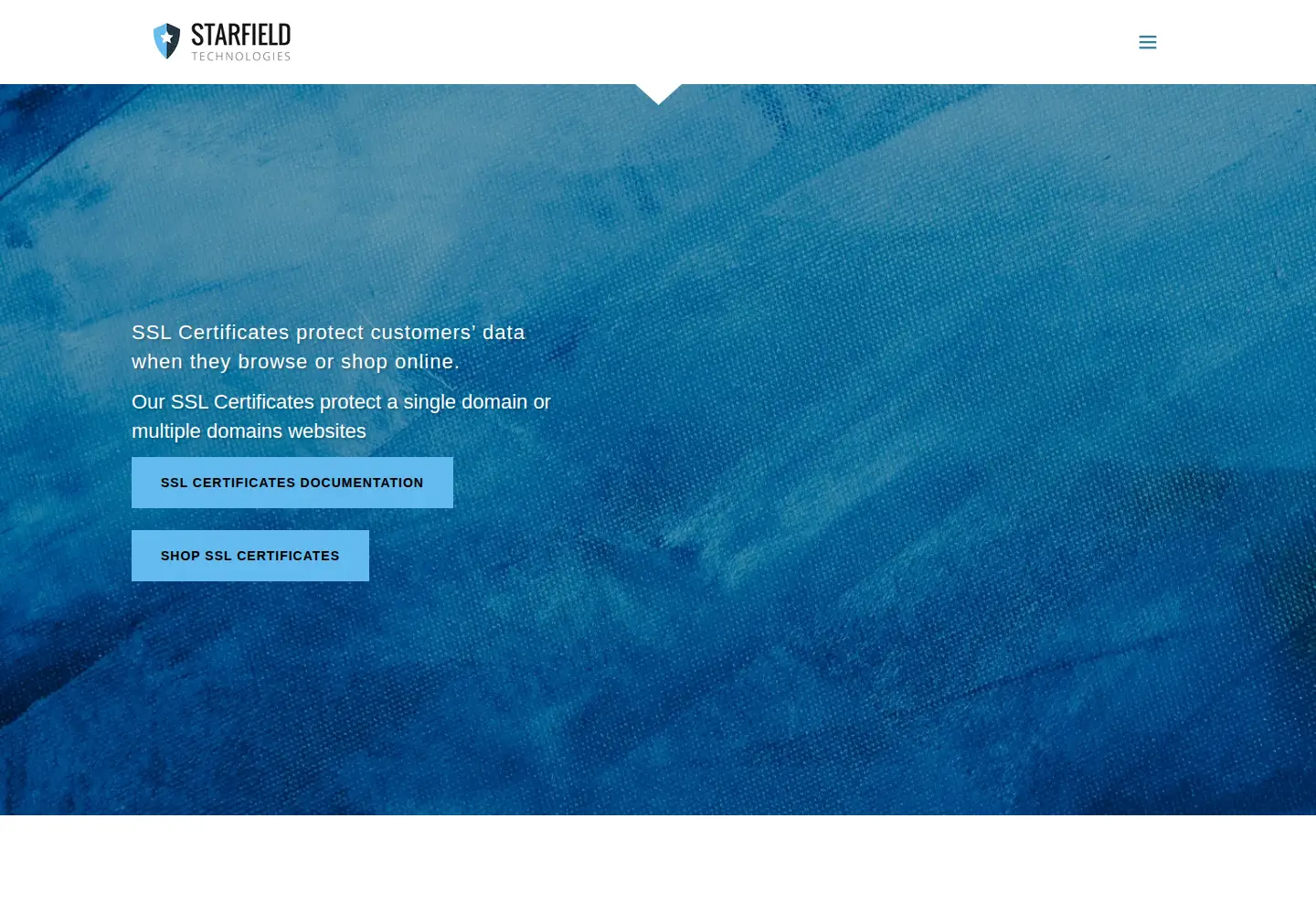 Captured homepage of starfieldtech.com in the current scan