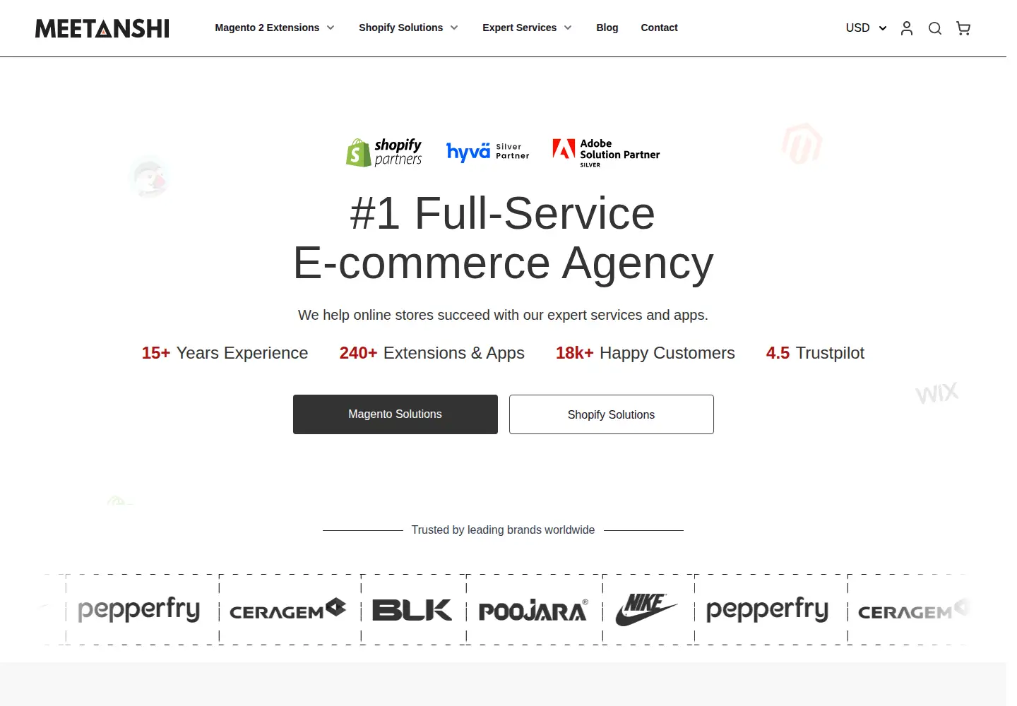 Captured homepage of meetanshi.com in the current scan