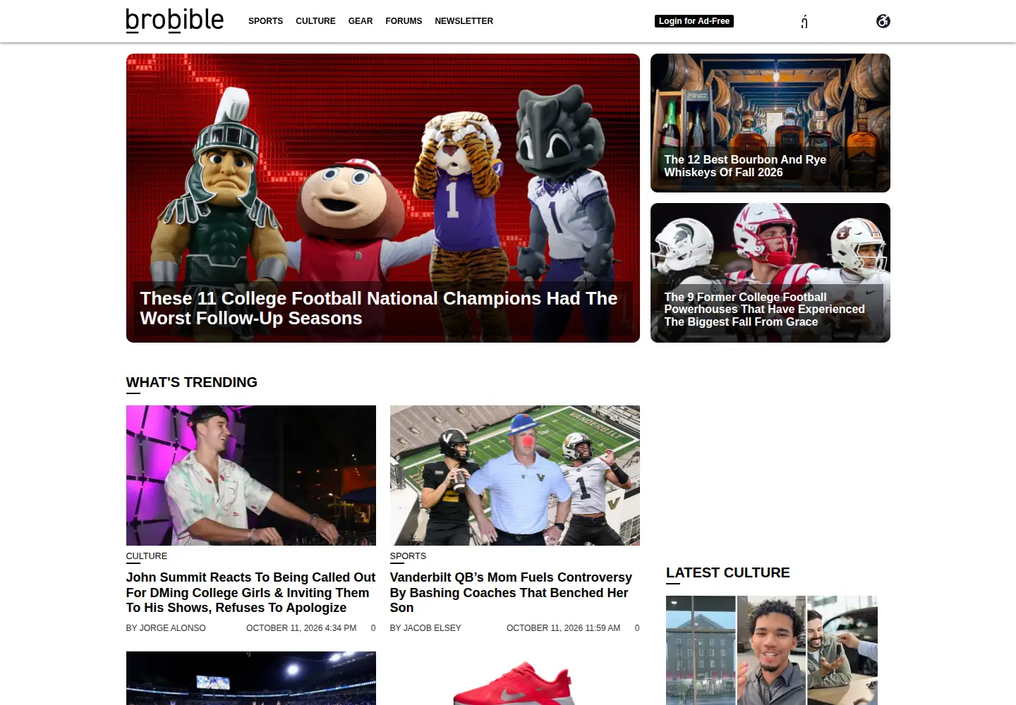 Screenshot of brobible.com