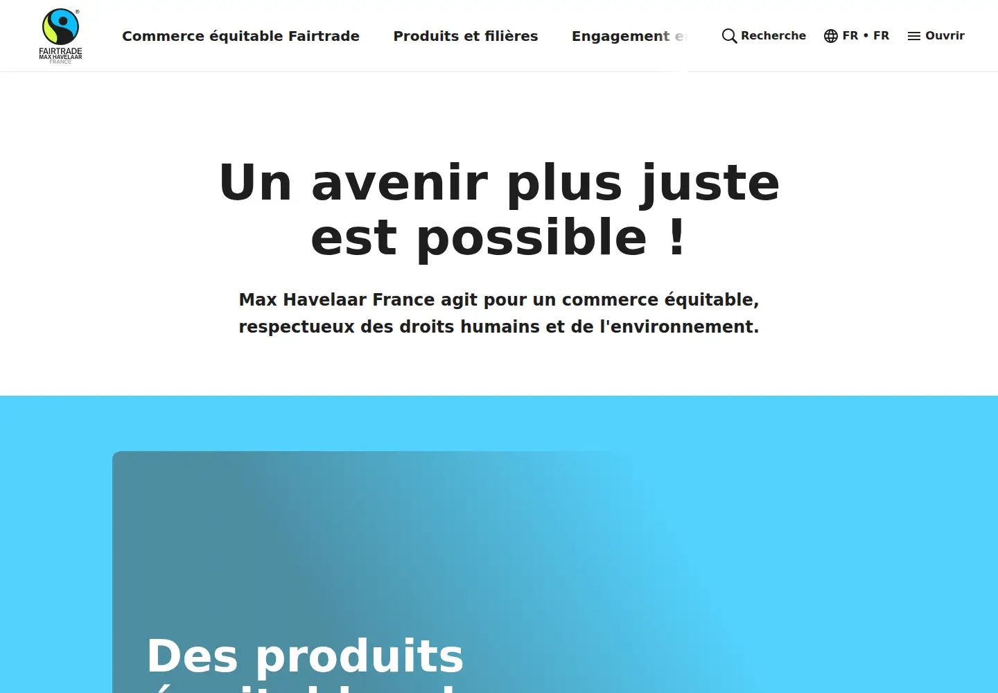 Screenshot of fairtrade.net