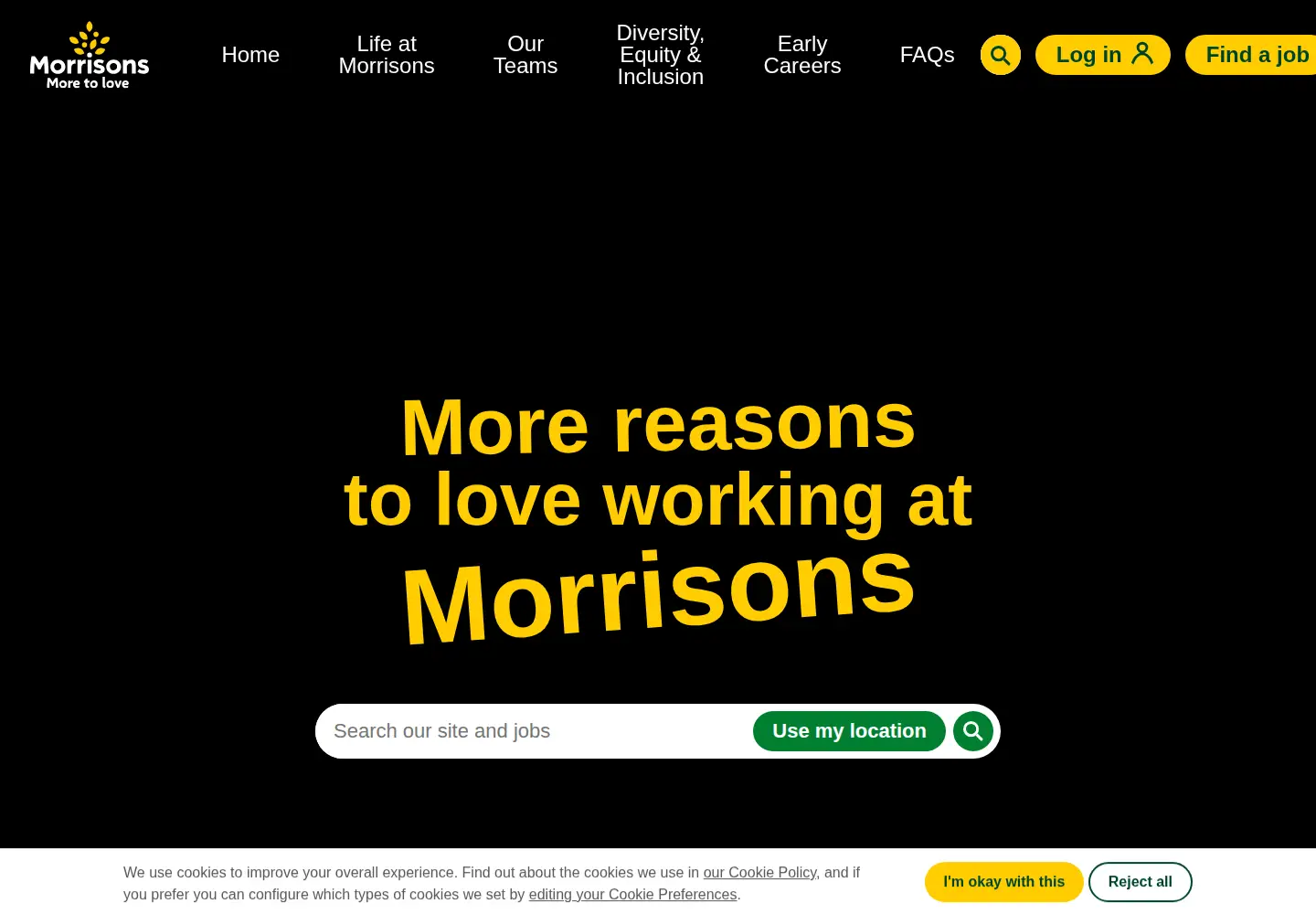 Captured homepage of morrisons.jobs in the current scan