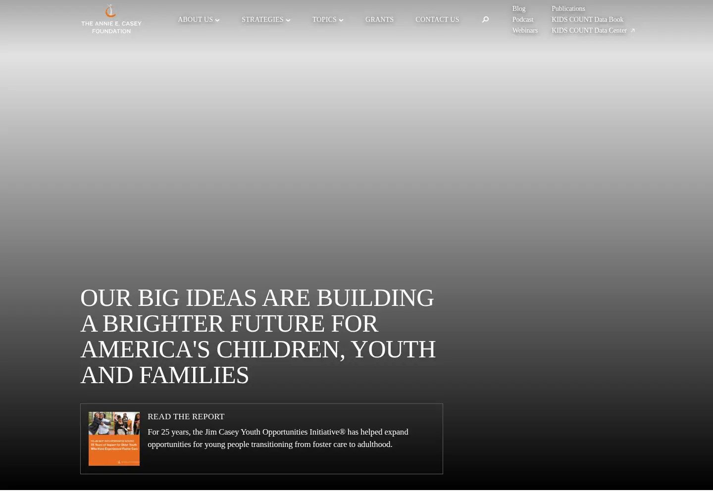 Screenshot of aecf.org
