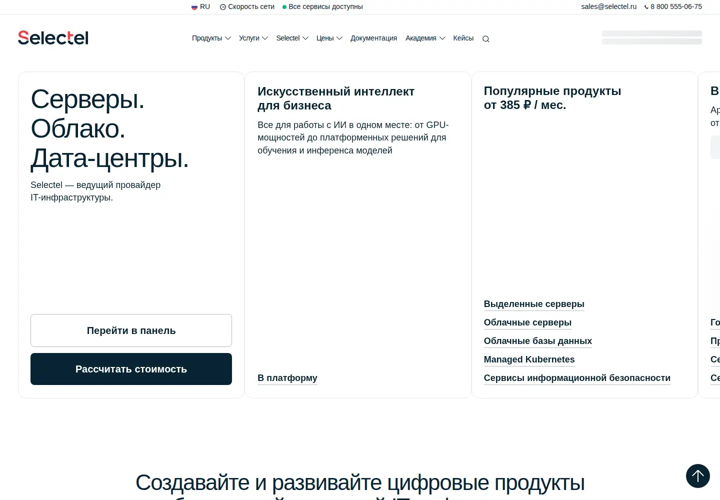 Captured homepage of selectel.ru in the current scan