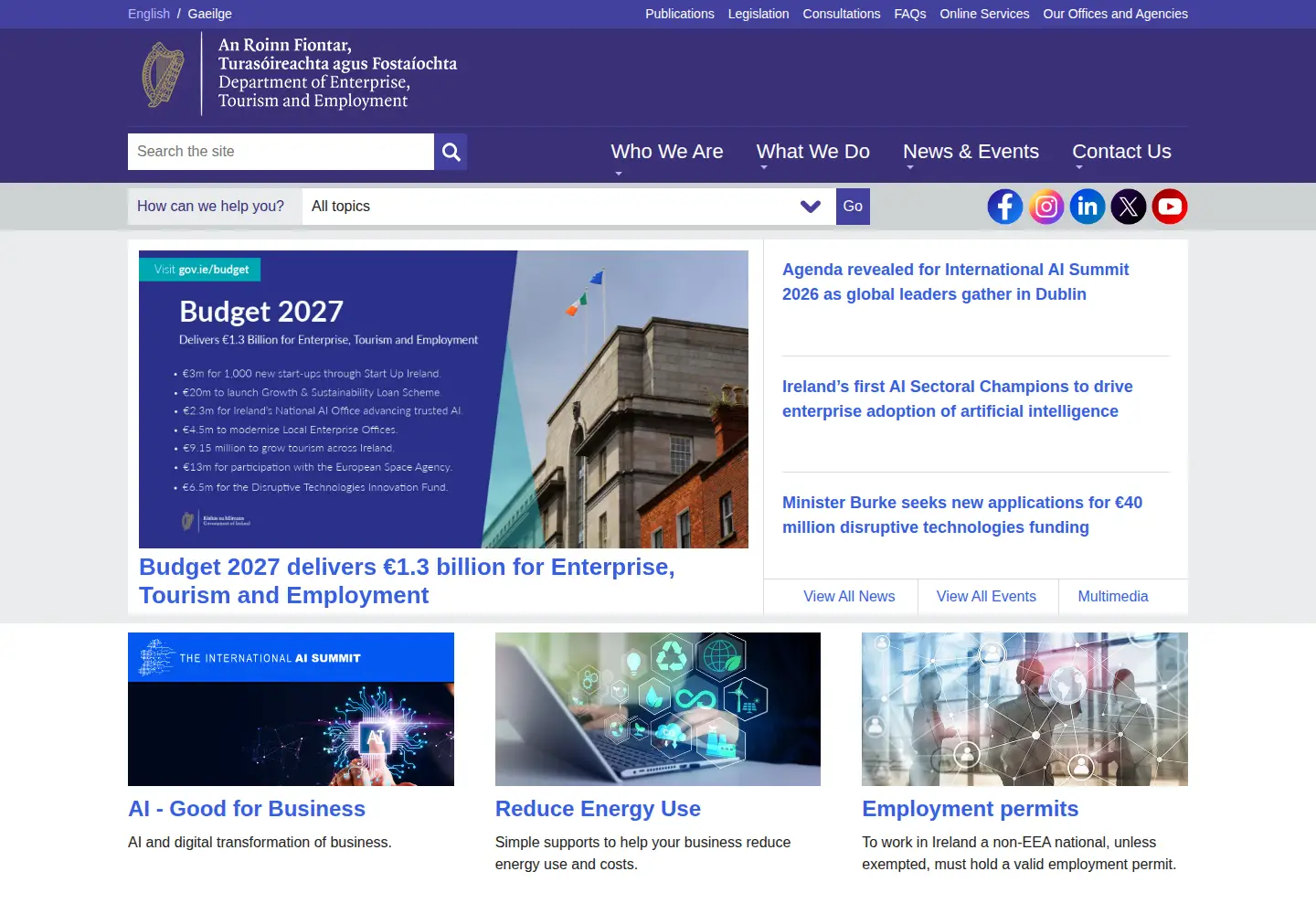 Screenshot of enterprise.gov.ie