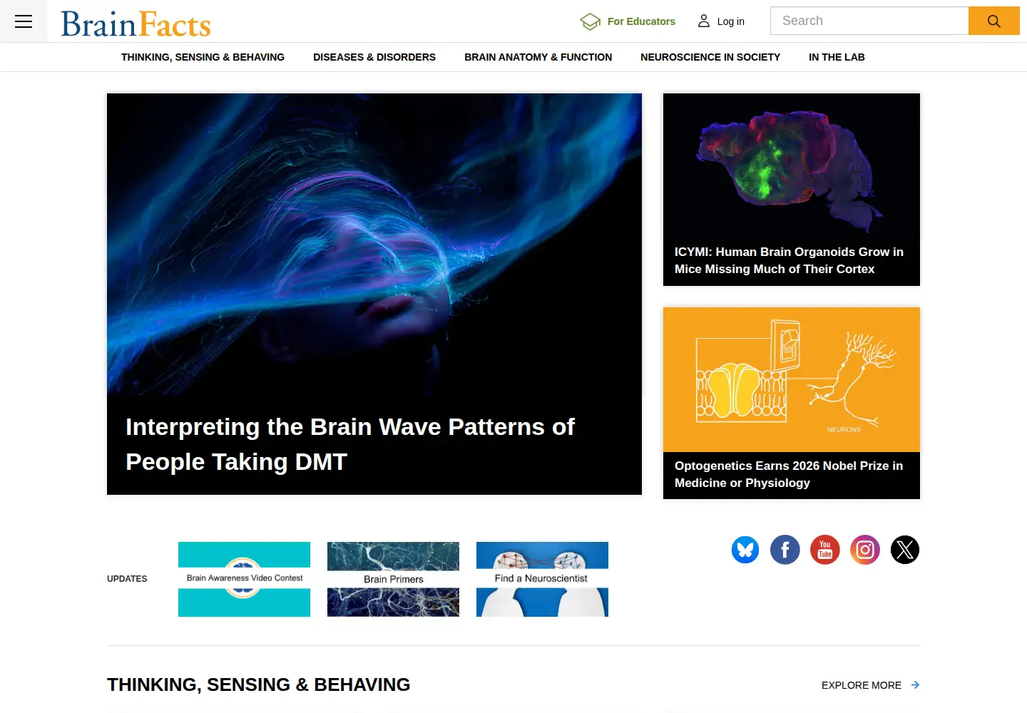 Screenshot of brainfacts.org