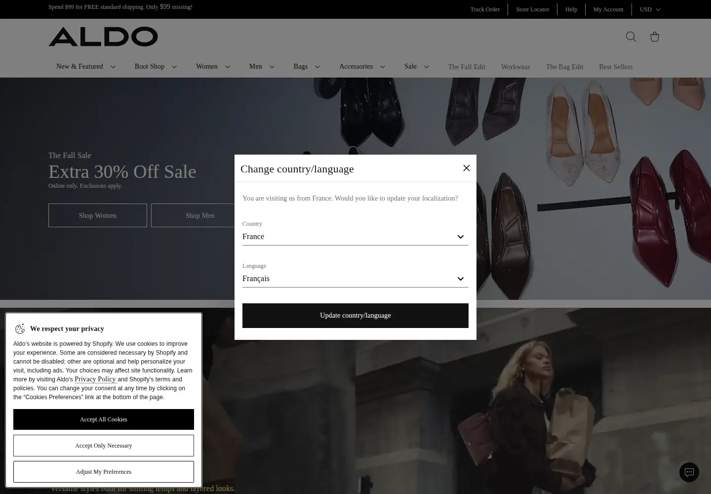 Captured homepage of aldoshoes.com in the current scan