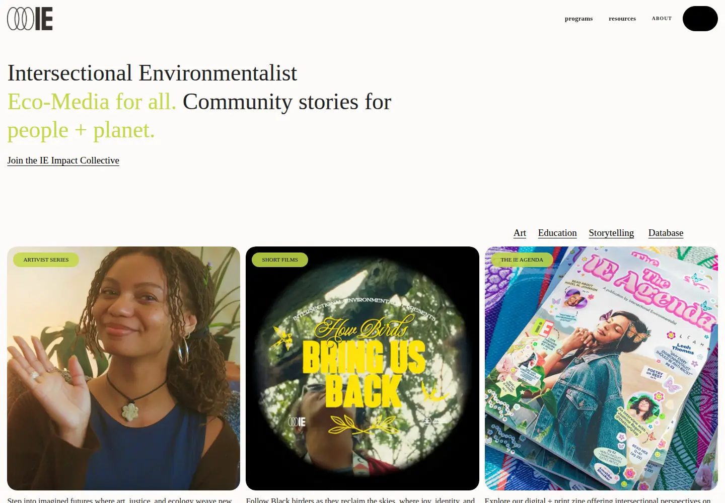 Screenshot of intersectionalenvironmentalist.com