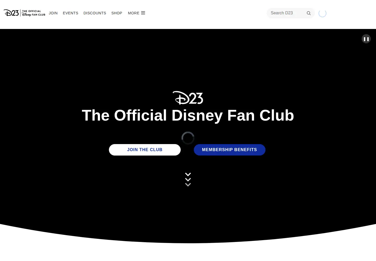 Screenshot of d23.com