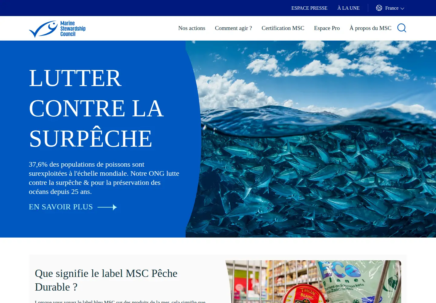 Captured homepage of msc.org in the current scan