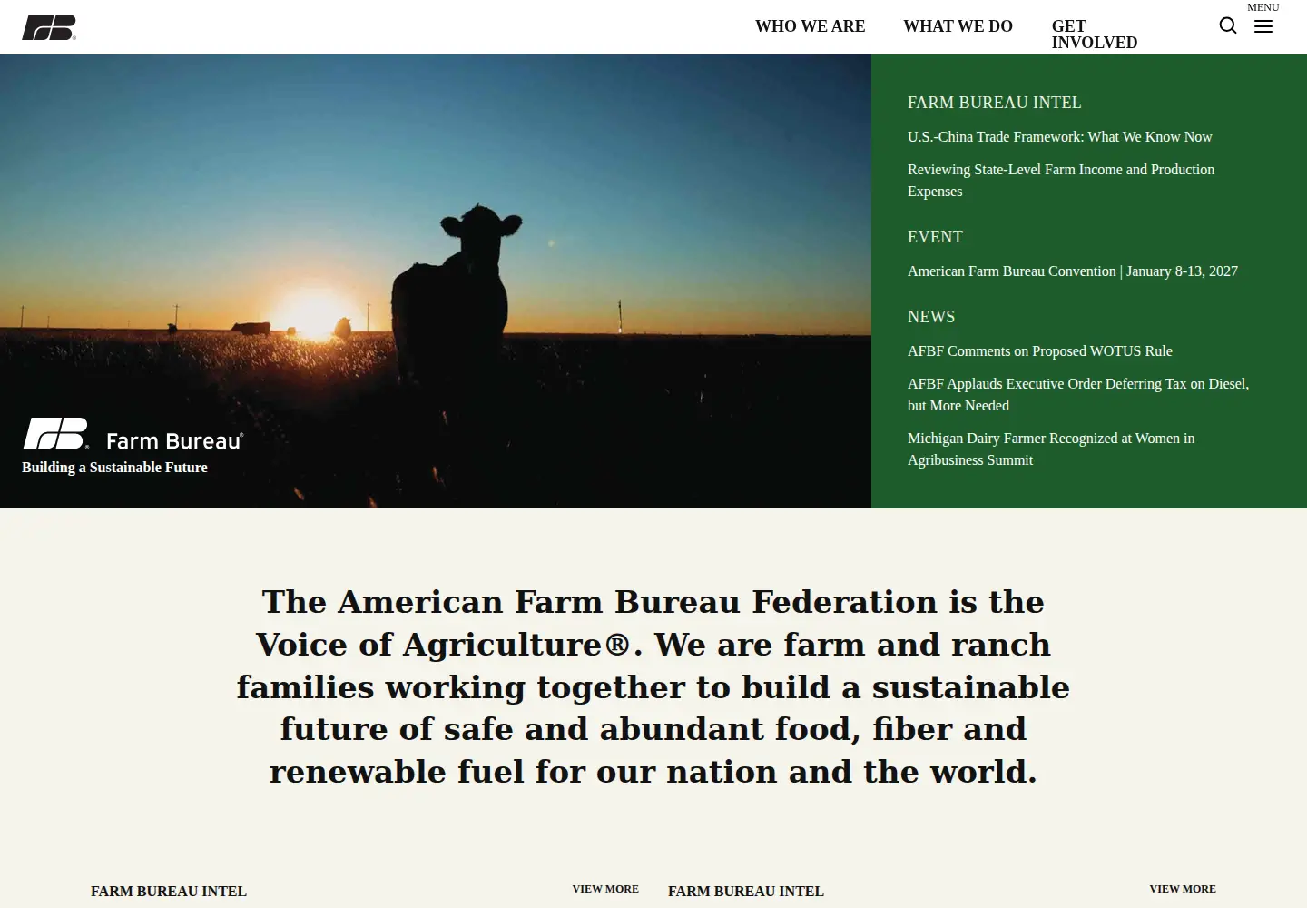 Screenshot of fb.org