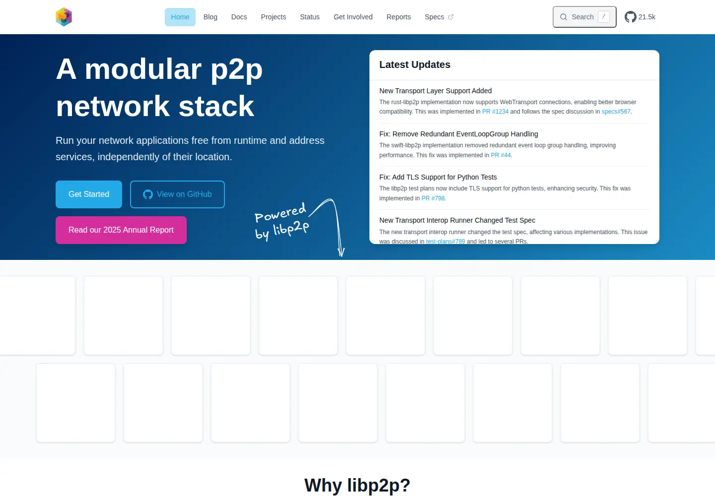 Captured homepage of libp2p.io in the current scan