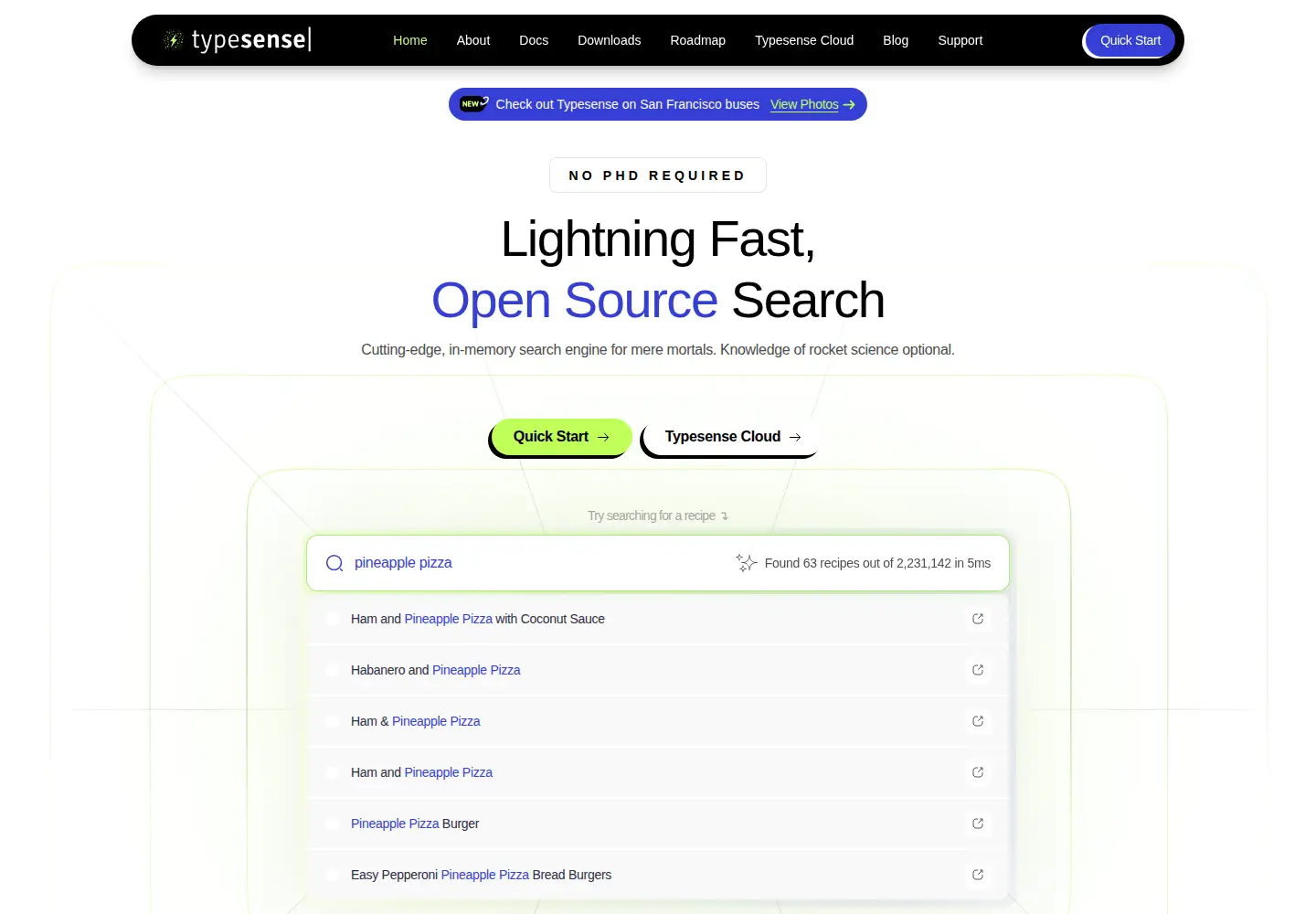 Captured homepage of typesense.org in the current scan