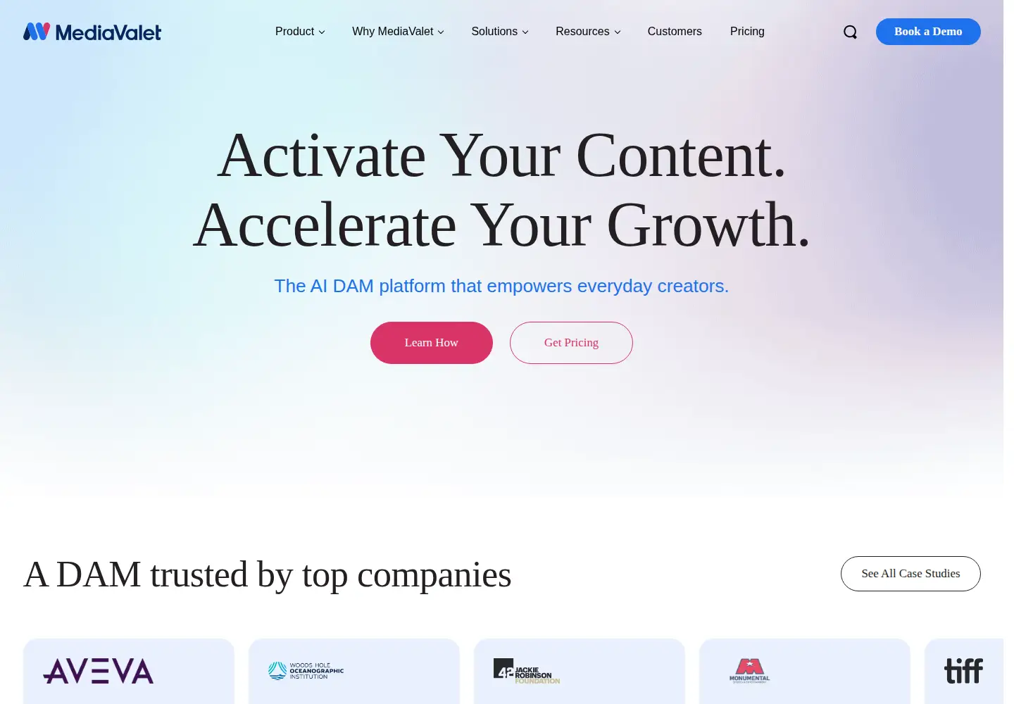 Screenshot of mediavalet.com