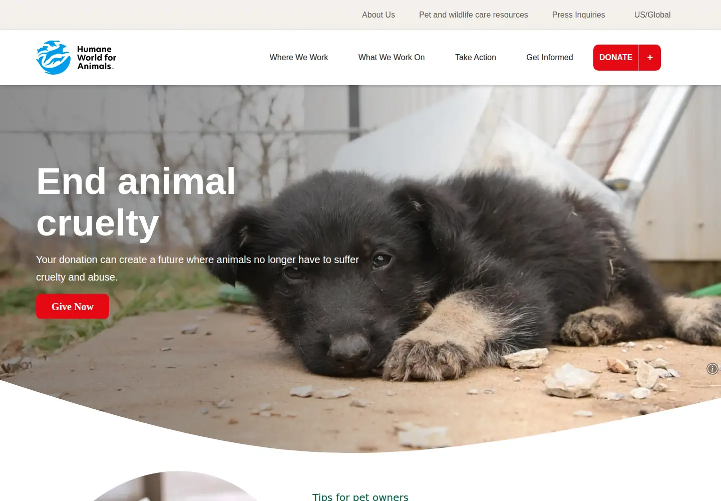Captured homepage of humaneworld.org in the current scan