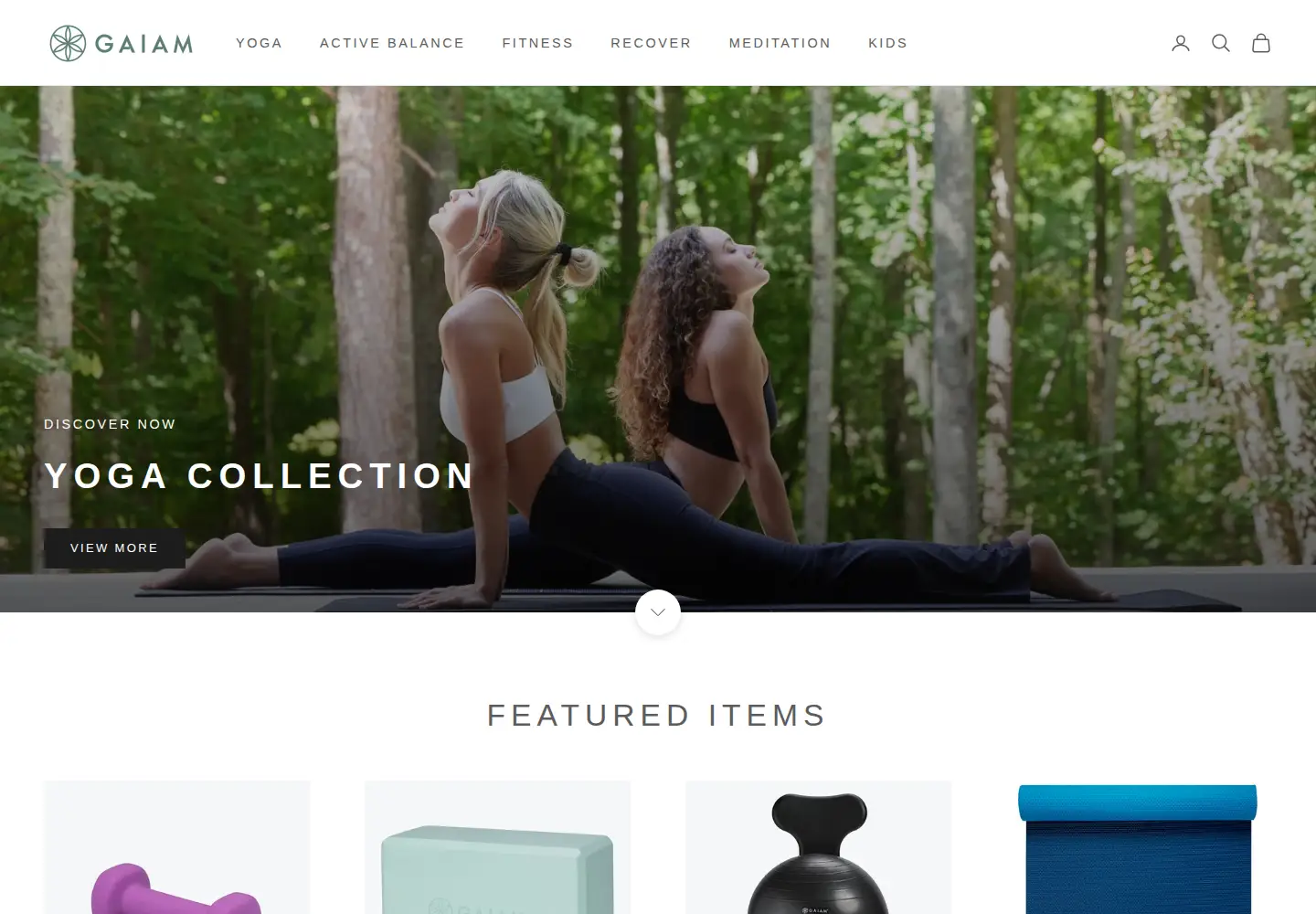 Captured homepage of gaiam.com in the current scan