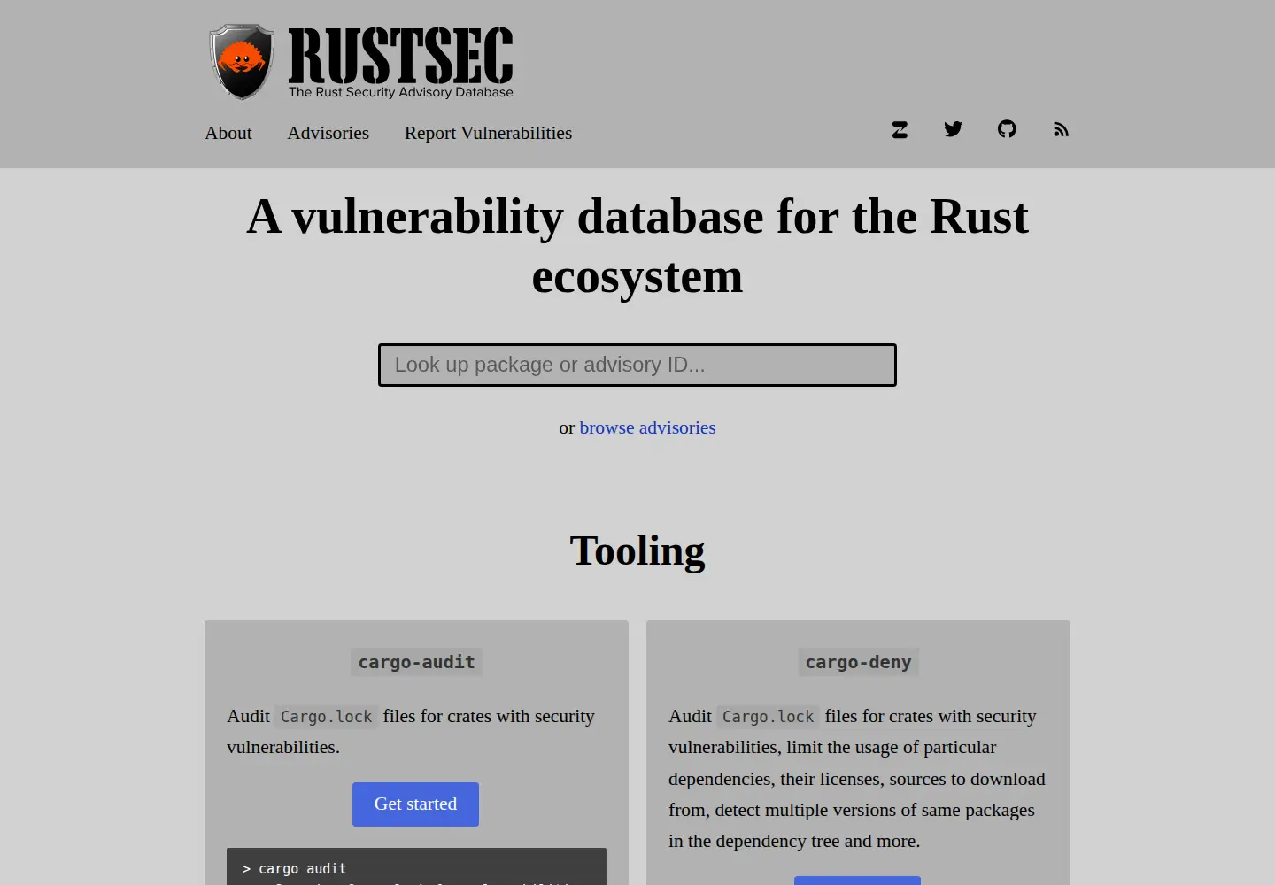 Captured homepage of rustsec.org in the current scan