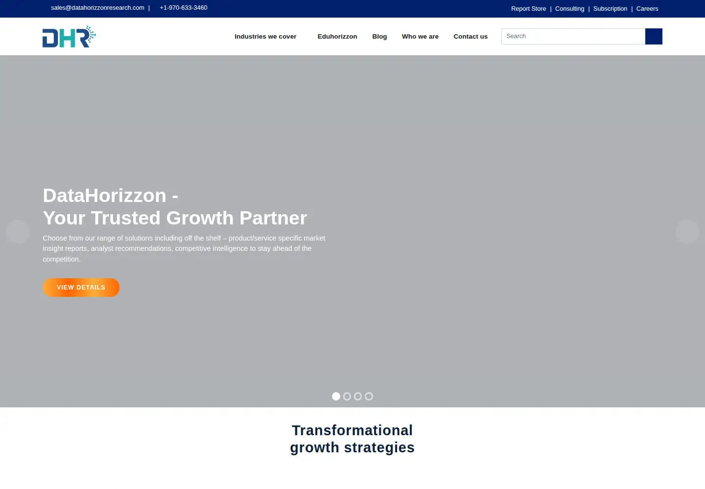 Captured homepage of datahorizzonresearch.com in the current scan