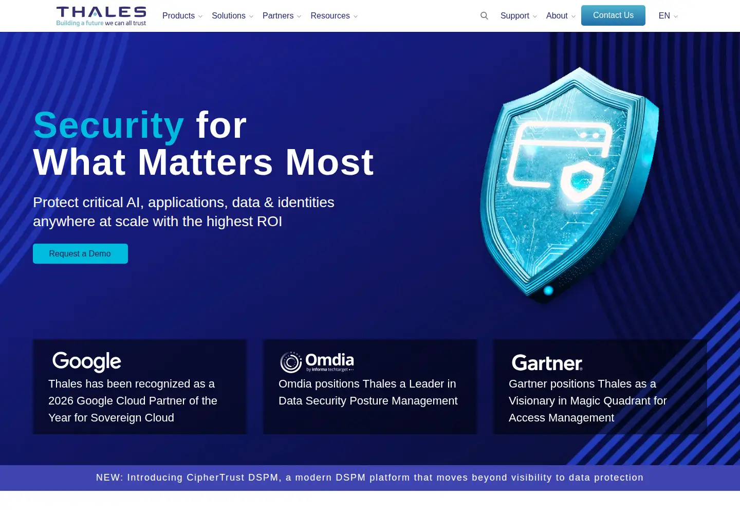 Screenshot of safenet-inc.com