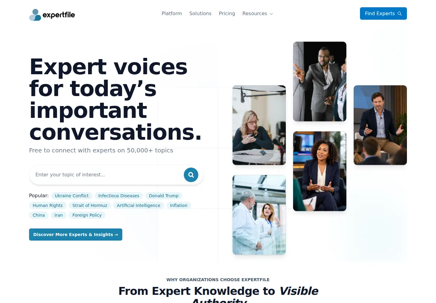 Captured homepage of expertfile.com in the current scan
