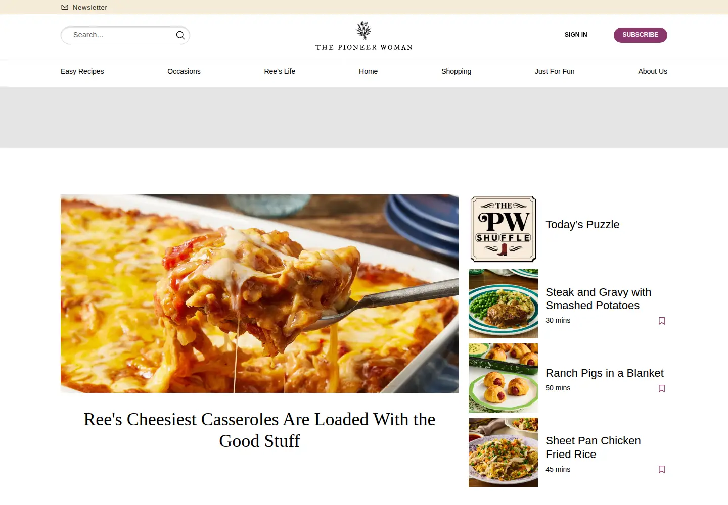 Captured homepage of thepioneerwoman.com in the current scan