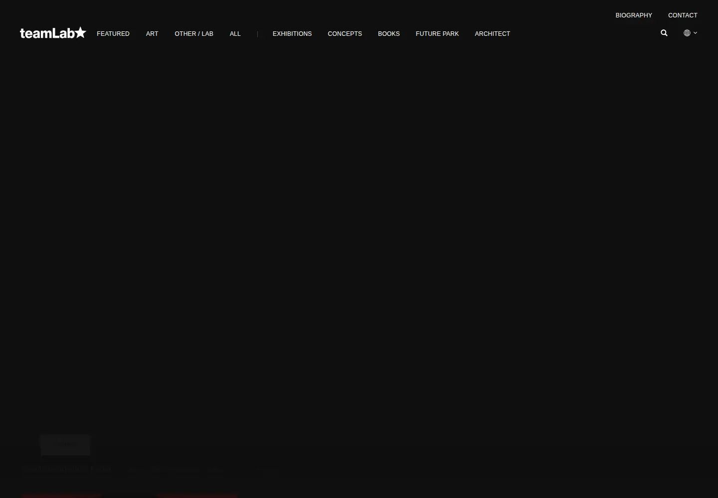 Screenshot of teamlab.art