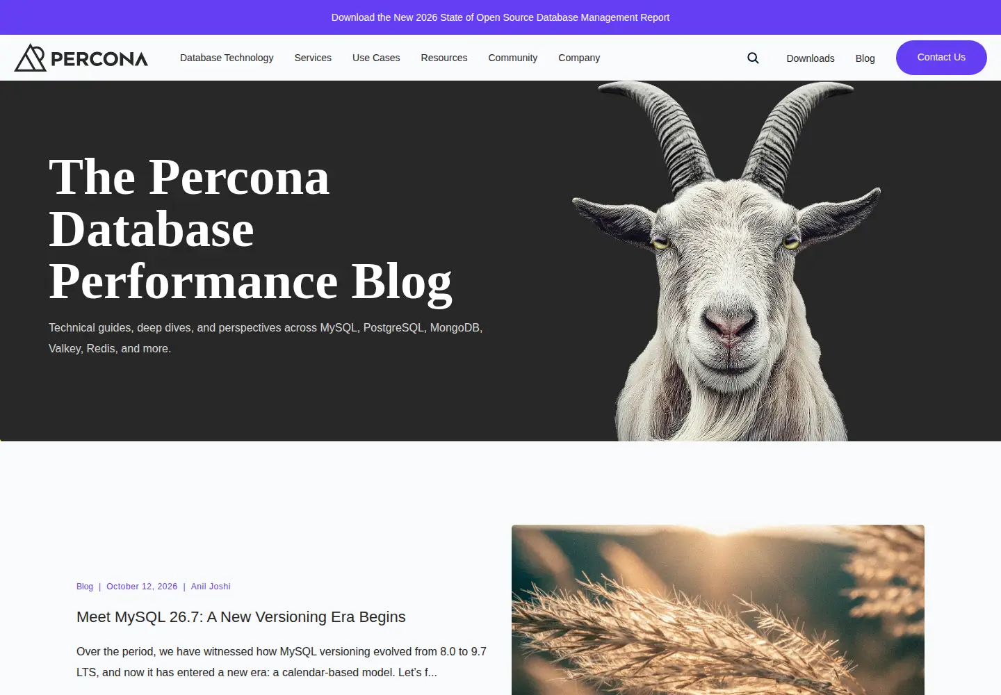 Screenshot of mysqlperformanceblog.com