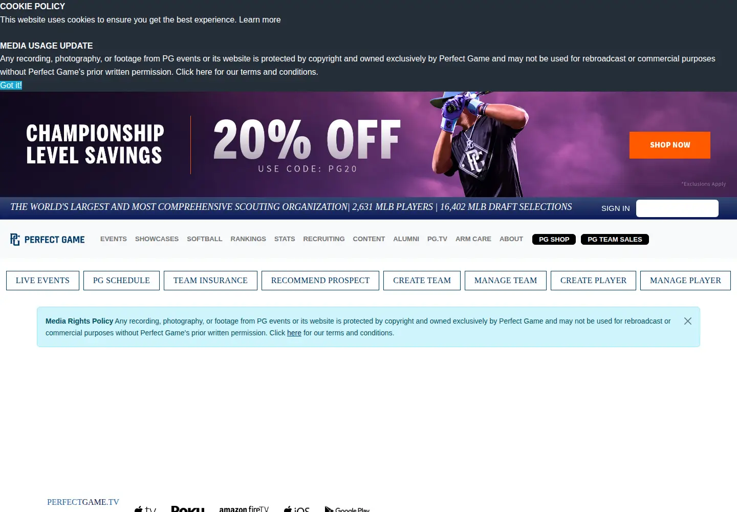 Screenshot of perfectgame.org
