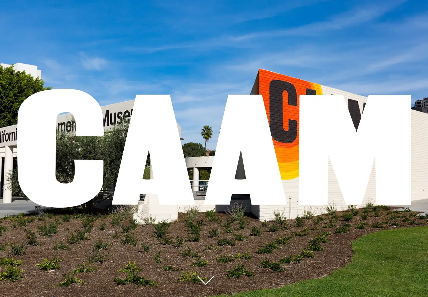 Screenshot of caamuseum.org