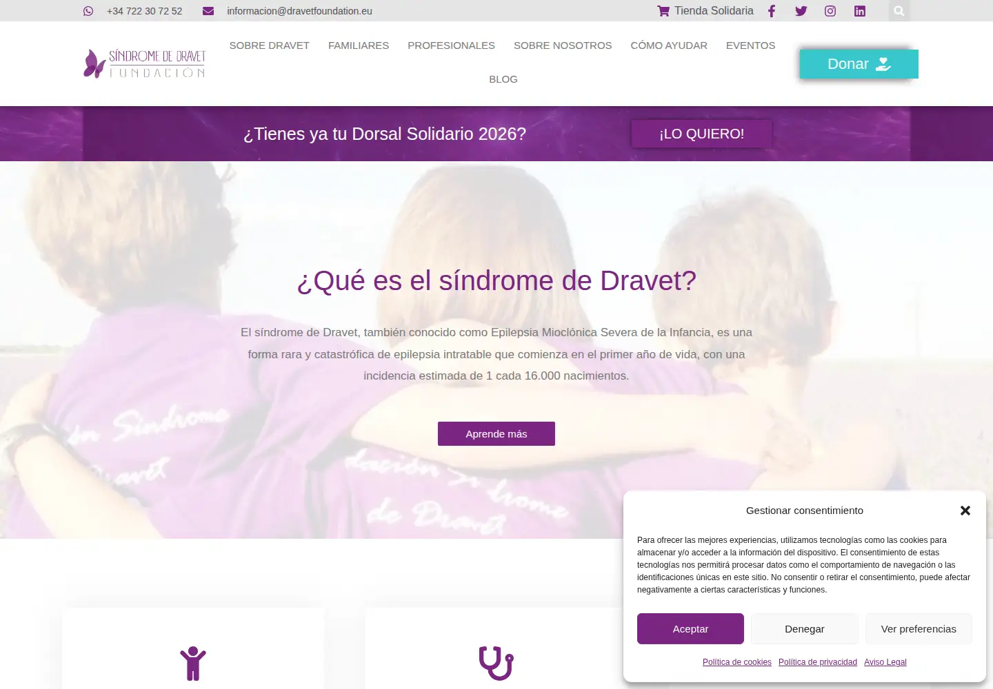 Screenshot of dravetfoundation.eu
