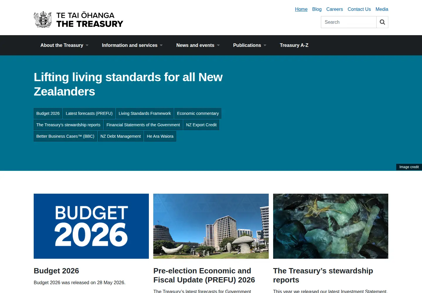 Screenshot of treasury.govt.nz