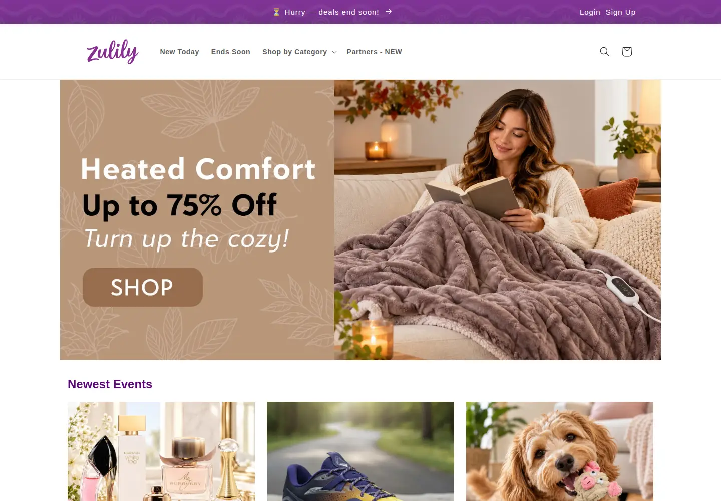 Captured homepage of zulily.com in the current scan